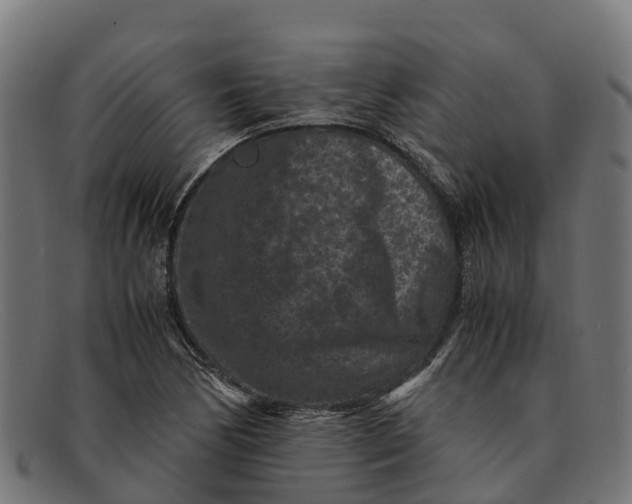 X0000091651170200709131444