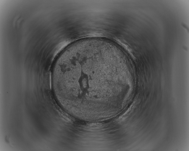 X0000091651171200709131444