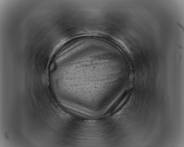 X0000091651172200709131444