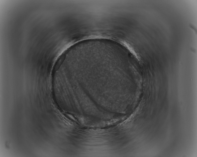 X0000091651173200709131444