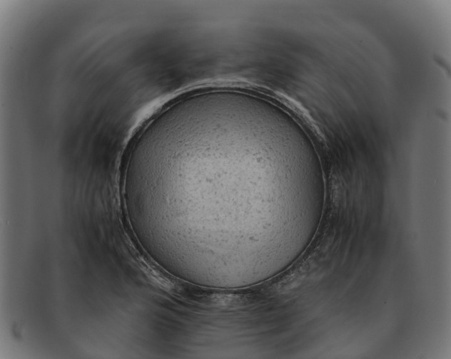 X0000091651176200709131444