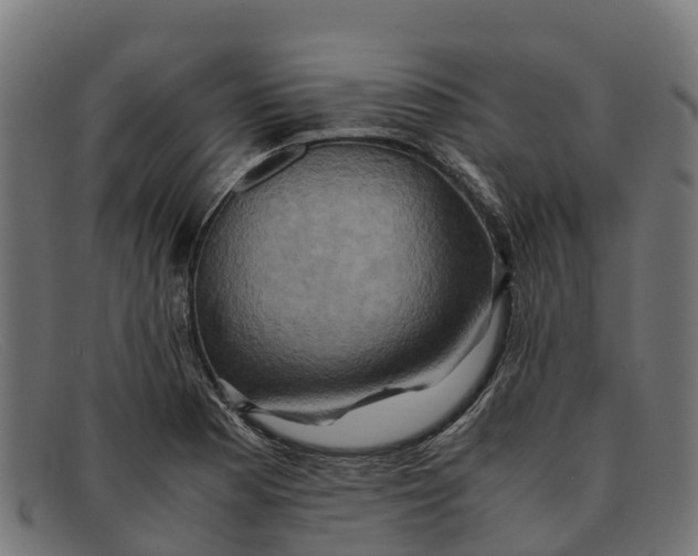 X0000091651177200709131444