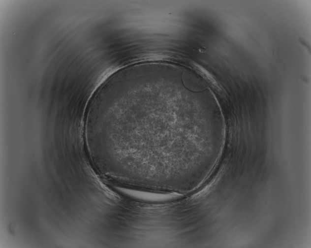 X0000091651178200709131444