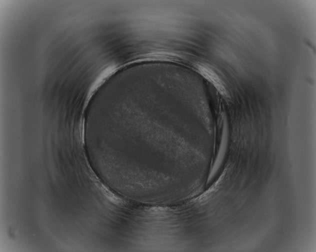 X0000091651180200709131444