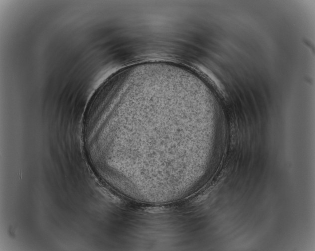 X0000091651182200709131444