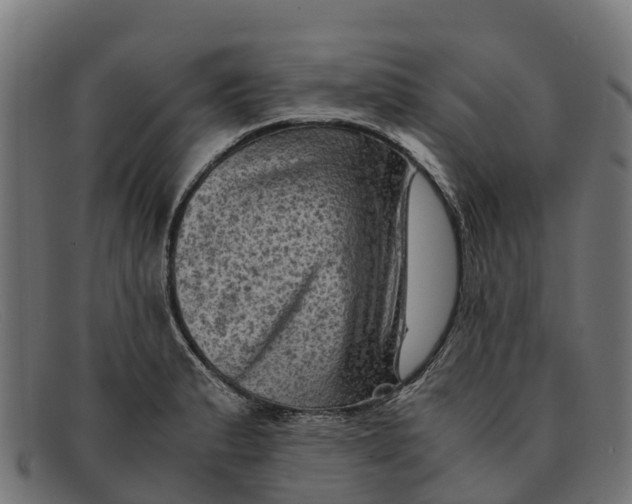 X0000091651183200709131444