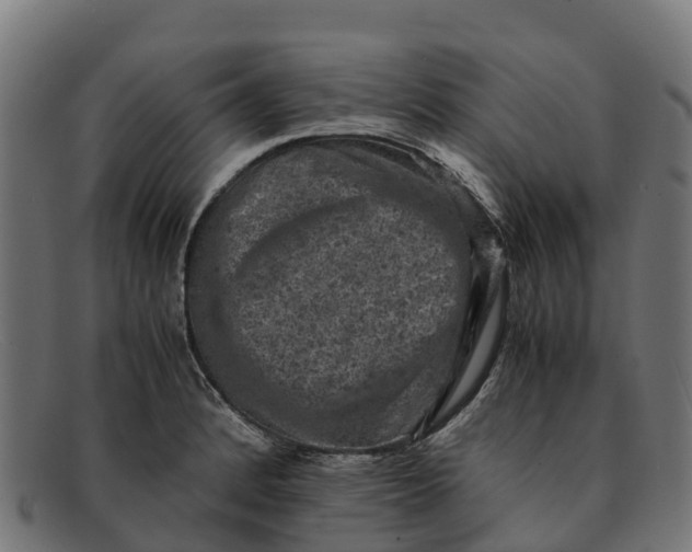 X0000091651184200709131444