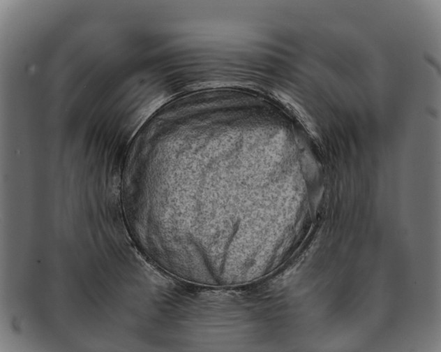 X0000091651185200709131444