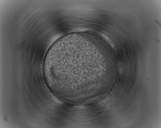 X0000091651186200709131444