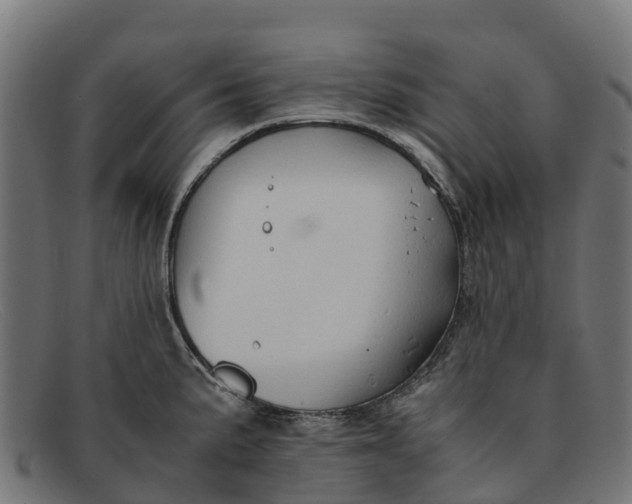 X0000091651191200709131444