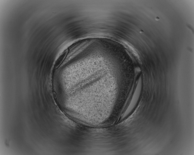 X0000091651192200709131444