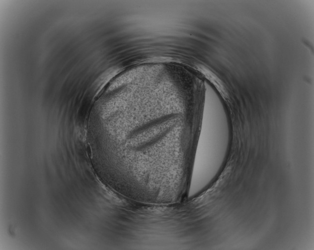 X0000091651193200709131444