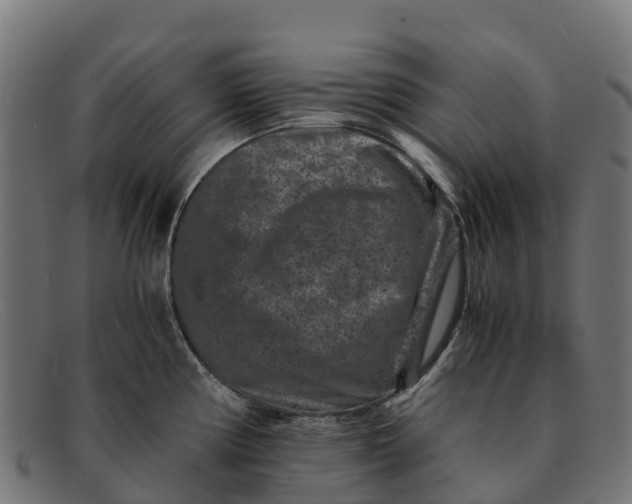 X0000091651194200709131444