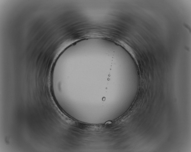 X0000091651195200709131444