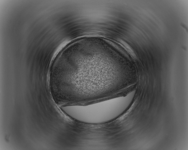 X0000091651196200709131444