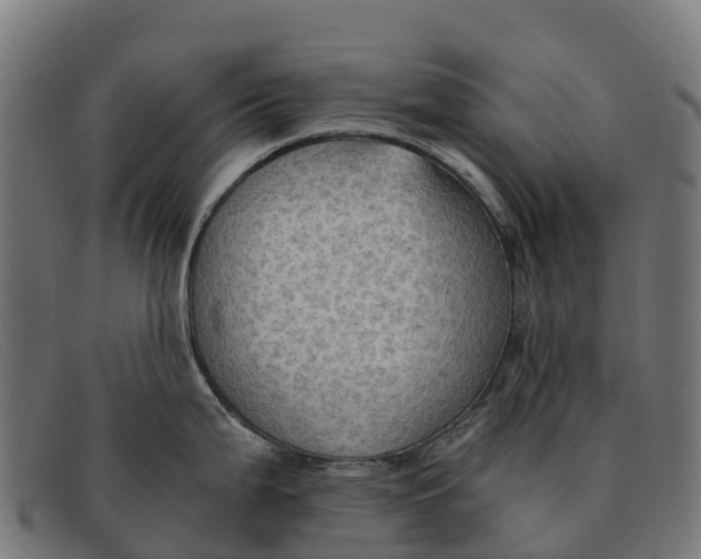 X0000091651199200709131444