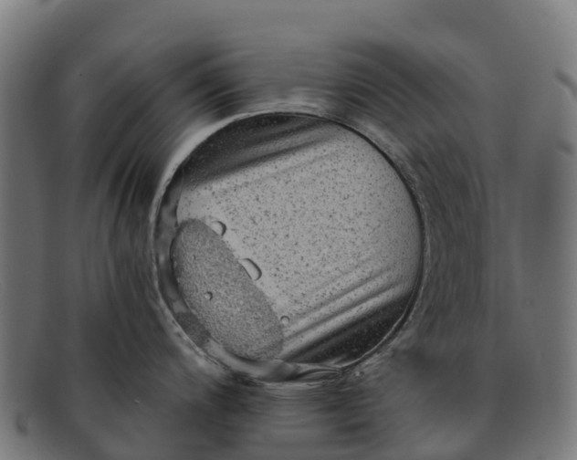 X0000091651200200709131444