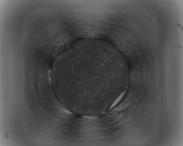 X0000091651202200709131443