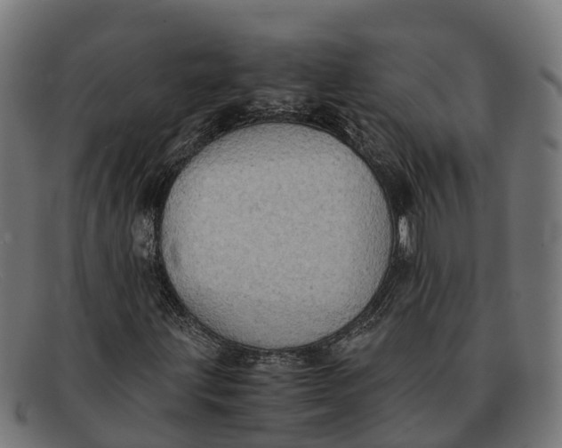 X0000091651203200709131443