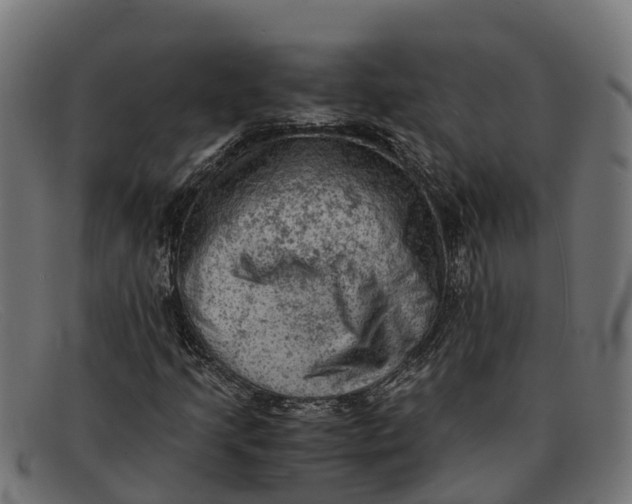 X0000091651205200709131443