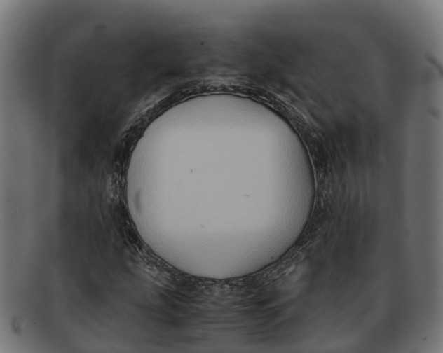 X0000091651207200709131443