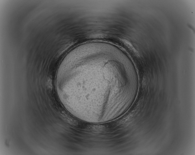 X0000091651209200709131443