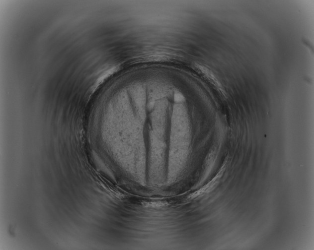 X0000091651210200709131443