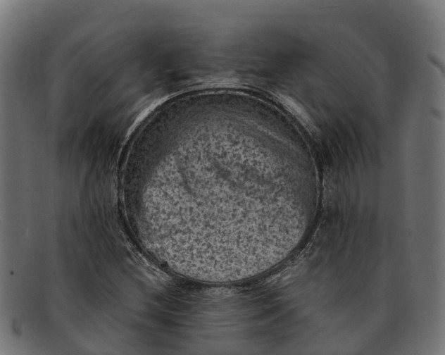 X0000091651212200709131443