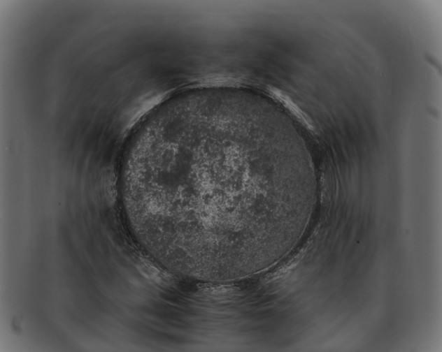 X0000091651213200709131444