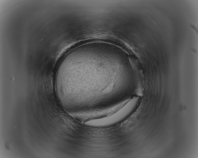 X0000091651214200709131444