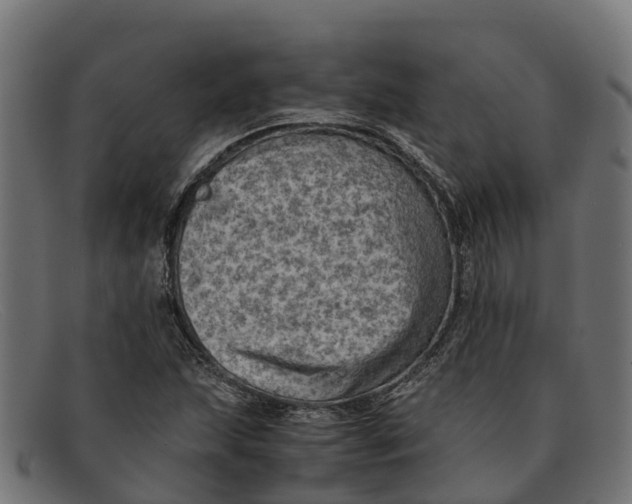 X0000091651215200709131444