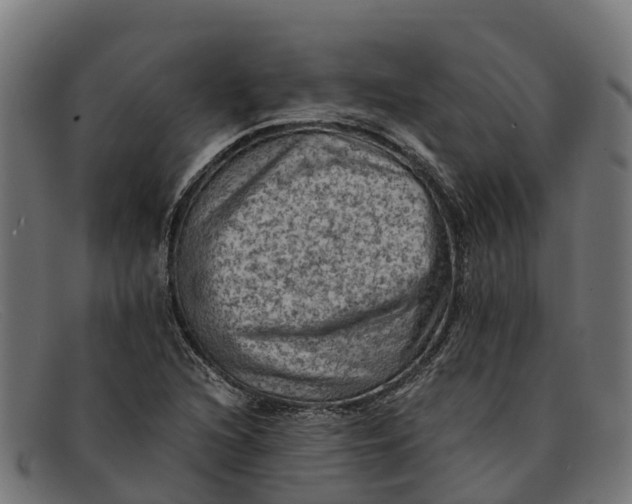 X0000091651216200709131444