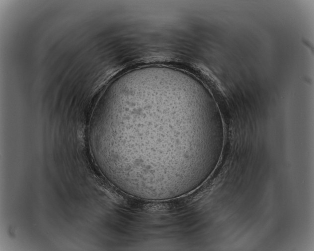 X0000091651217200709131444