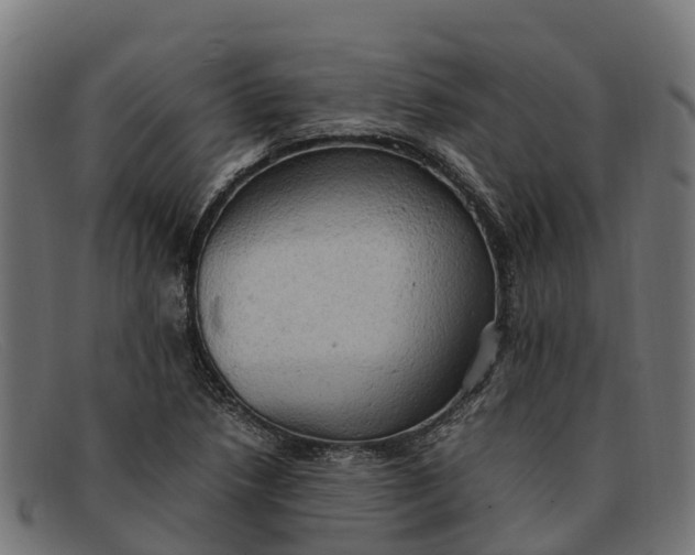 X0000091651218200709131444