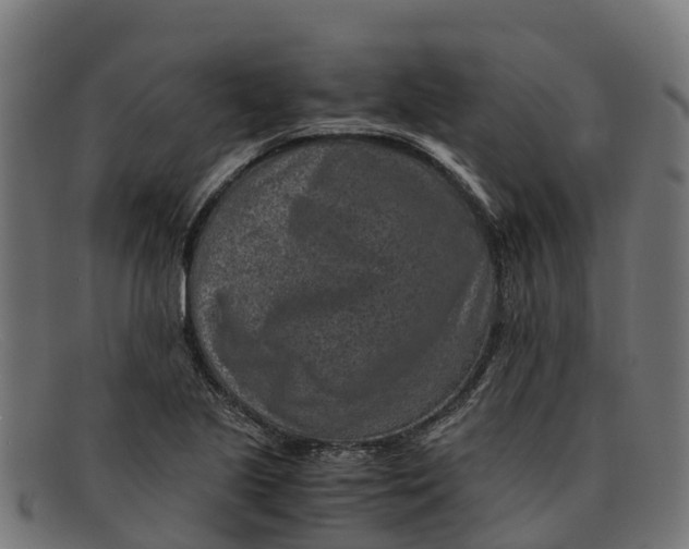 X0000091651221200709131444