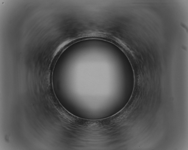 X0000091651222200709131444