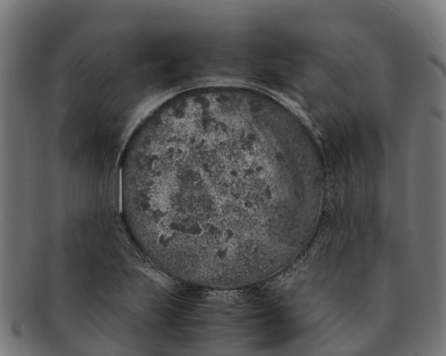 X0000091651223200709131444