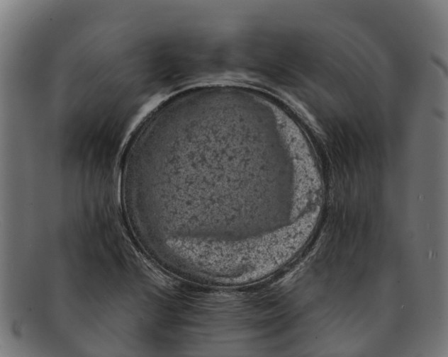 X0000091651224200709131444