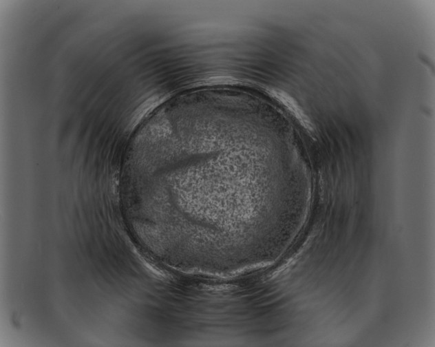 X0000091651225200709131444