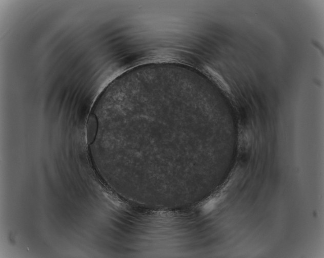 X0000091651226200709131444