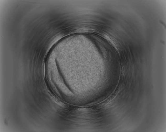 X0000091651227200709131444