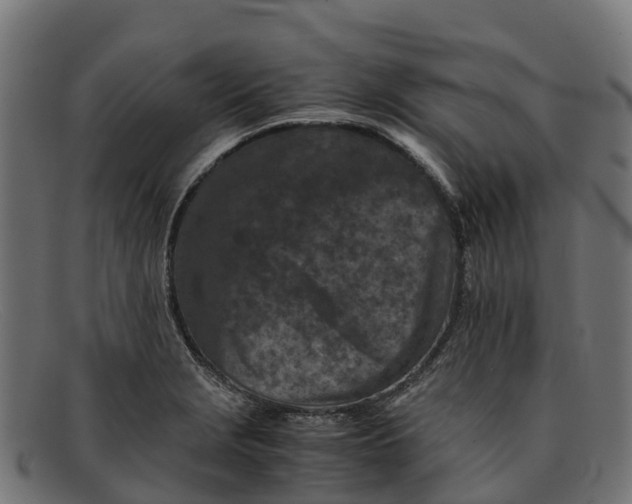 X0000091651229200709131444