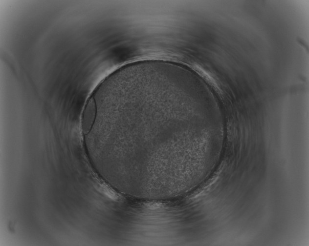 X0000091651230200709131444