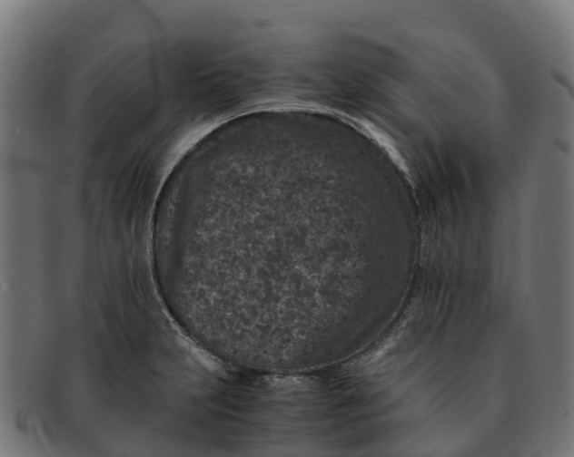 X0000091651231200709131444