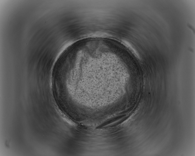 X0000091651232200709131444