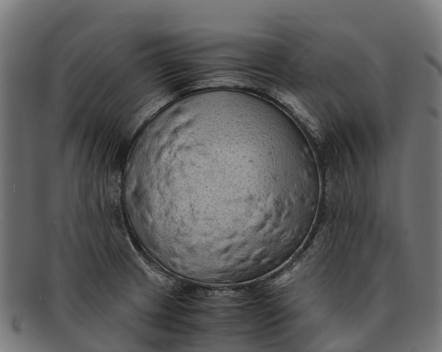 X0000091651233200709131444