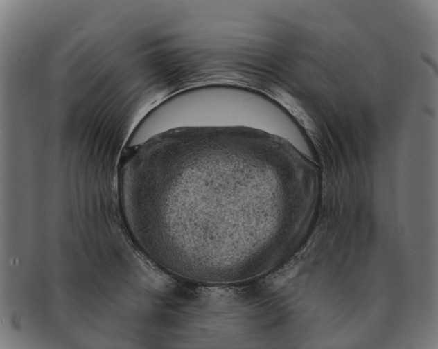 X0000091651234200709131444