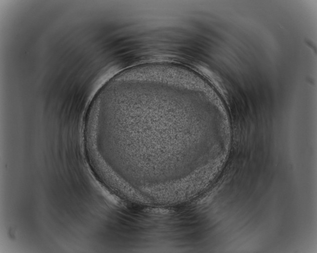 X0000091651235200709131444