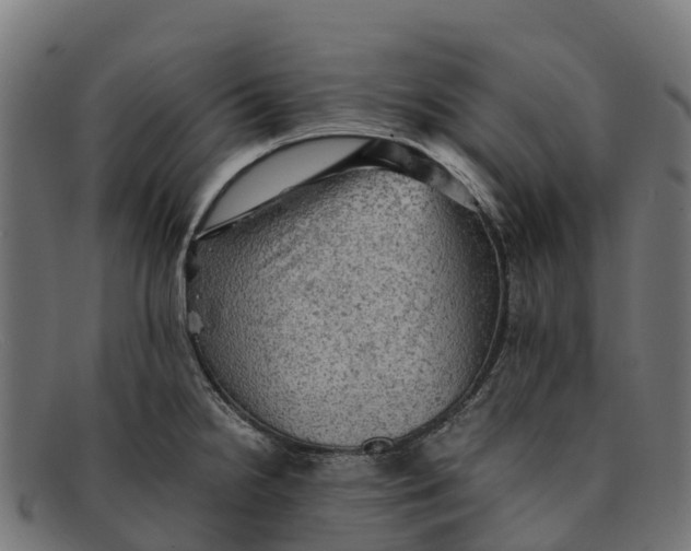 X0000091651238200709131444