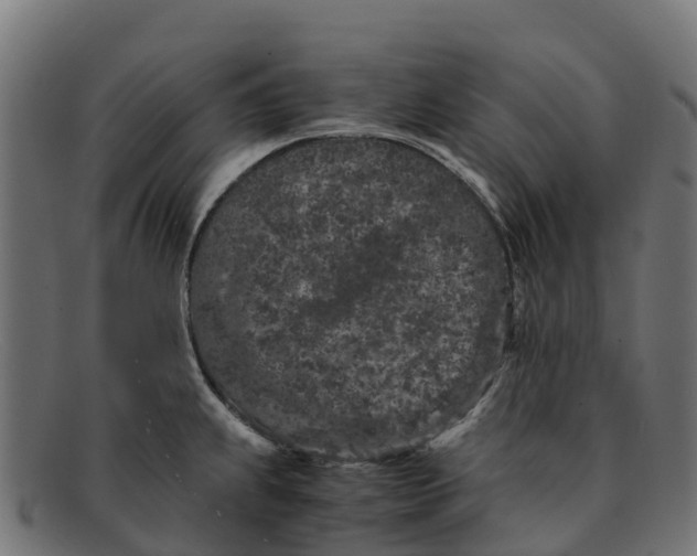 X0000091651239200709131444